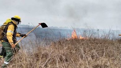 Photo of Incendios en islas: la Provincia acelera los procesos para sancionar a los responsables