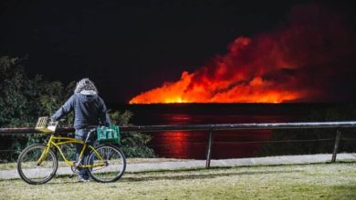 Photo of Fuerte reclamo de Santa Fe a la Justicia por los incendios en las islas