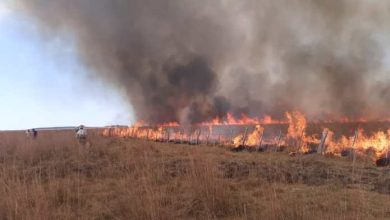 Photo of Otro incendio en las islas genera malestar en Rosario