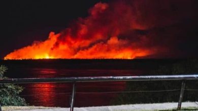 Photo of La «ciudad del humo» marchó por el cese de los incendios en las islas