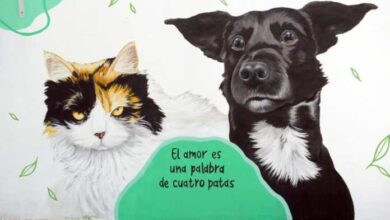 Photo of En el Imusa se inauguró un mural dedicado a los animales de compañía