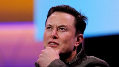 Photo of Elon Musk mostró a su mascota y una cripto se disparó 15 por ciento