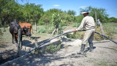 Photo of Emergencia Agropecuaria: nueva asistencia económica a pequeños productores