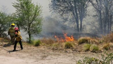 Photo of Nuevo incendio forestal en Córdoba: hay alerta por riesgo extremo hasta el miércoles