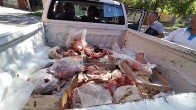Photo of Secuestraron 540 kilos de carne en mal estado y clausuraron un galpón en Fisherton